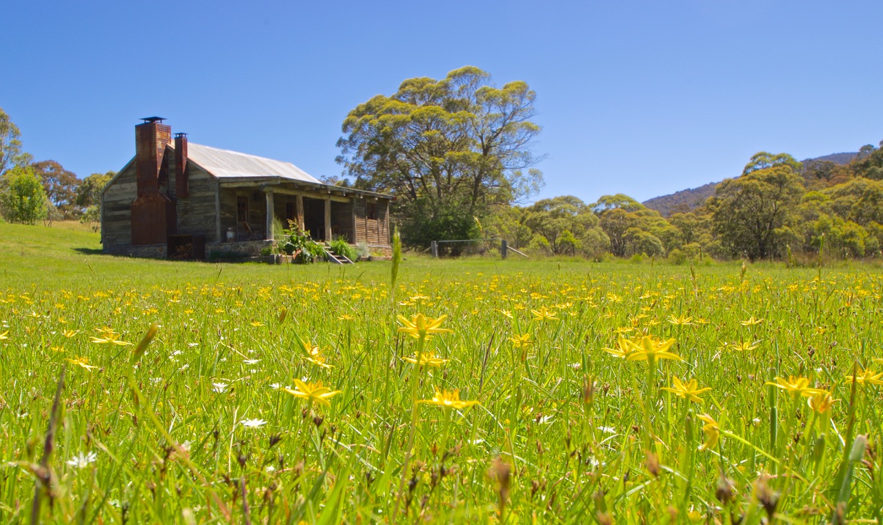 Moonbah Hut Spring Grasses